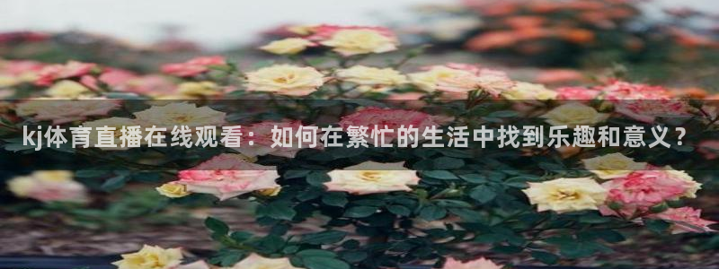 kj体育直播在线观看：如何在繁忙的生活中找到乐趣和意义？