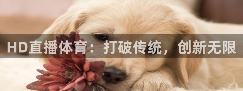 HD直播体育：打破传统，创新无限