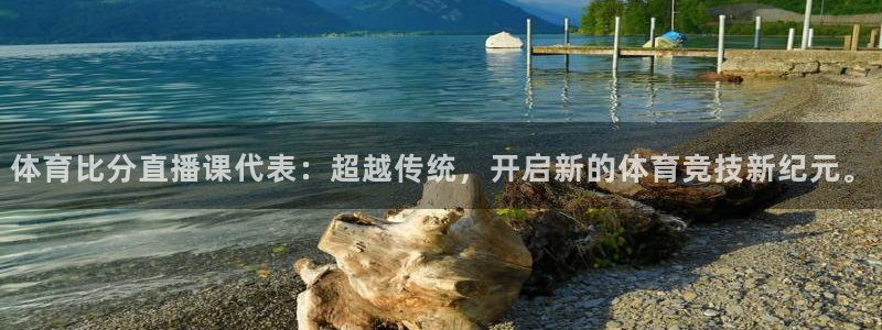 体育比分直播课代表：超越传统，开启新的体育竞技新纪元。